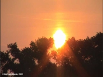 31.05.2003: Sonnenaufgang �ber Karlsruhe-R�ppurr